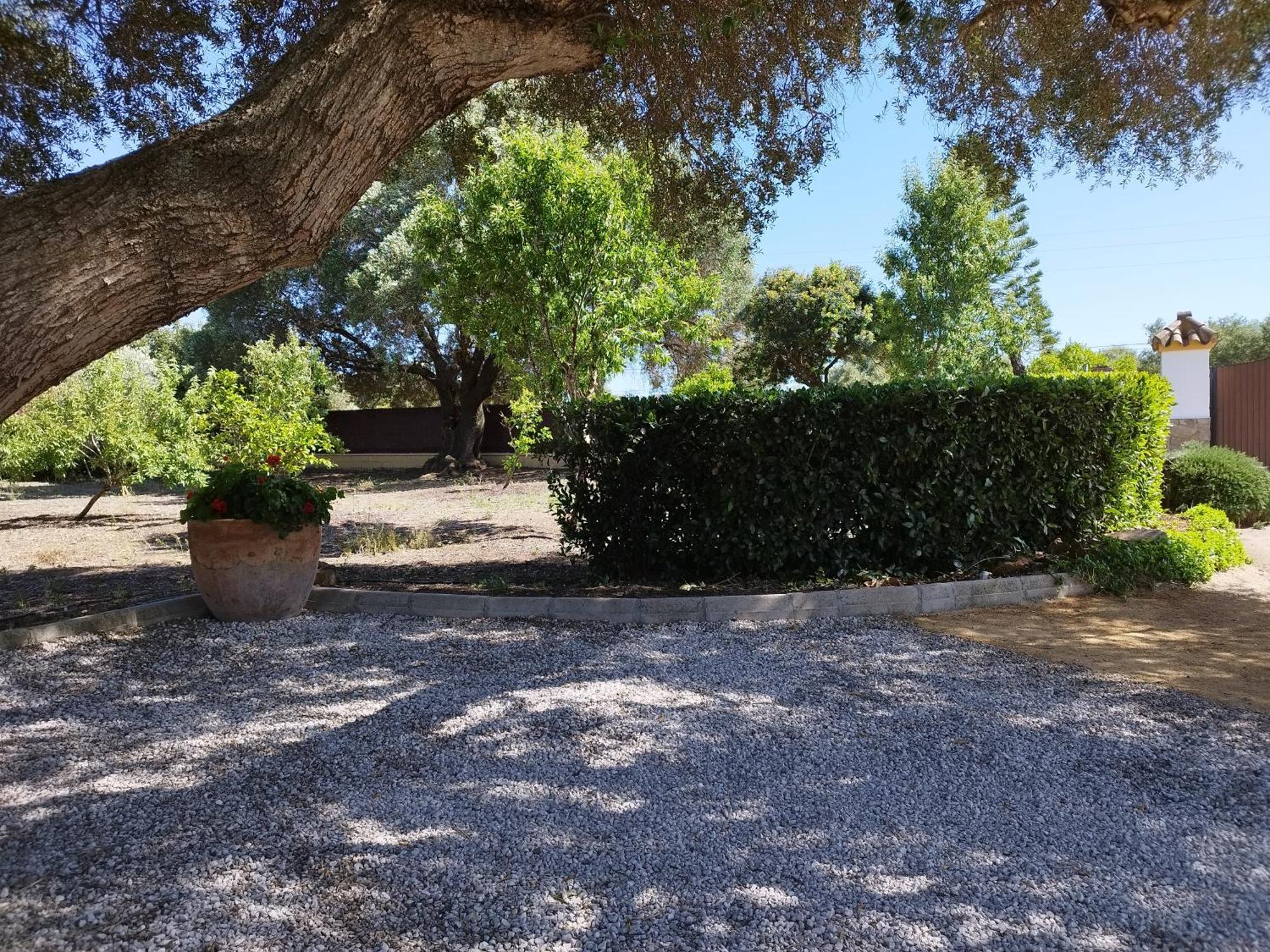 Vivienda Rural Los Madronos Malcocinado  Exteriör bild